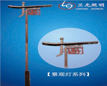 湖北雙頭市電景觀(guān)燈